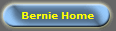 Bernie Home